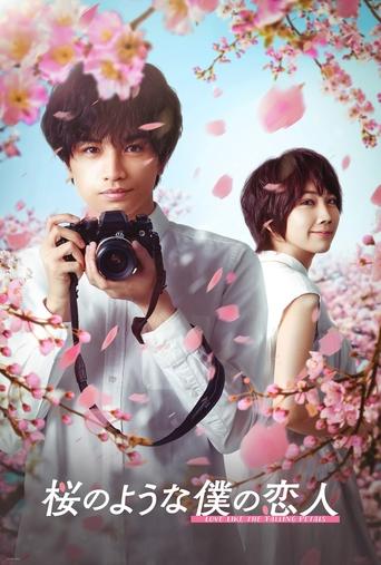 Regarder Love Like the Falling Petals VF et VOSTFR sur VoirDrama